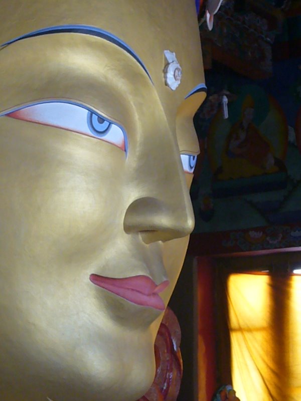Travel - India - Ladakh - Thikse - The Top